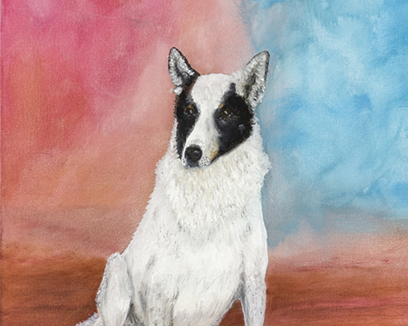 #035 - A Dog Called Panda