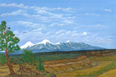 #028 - Above The Rim